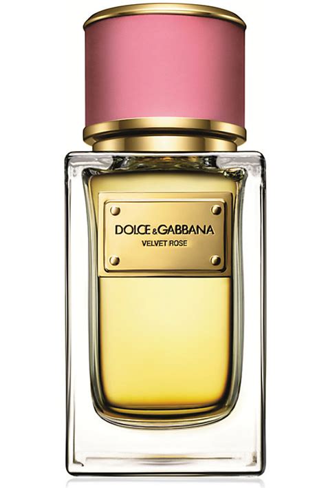 perfumes dolce & gabbana feminino|dolce gabbana unisex perfume.